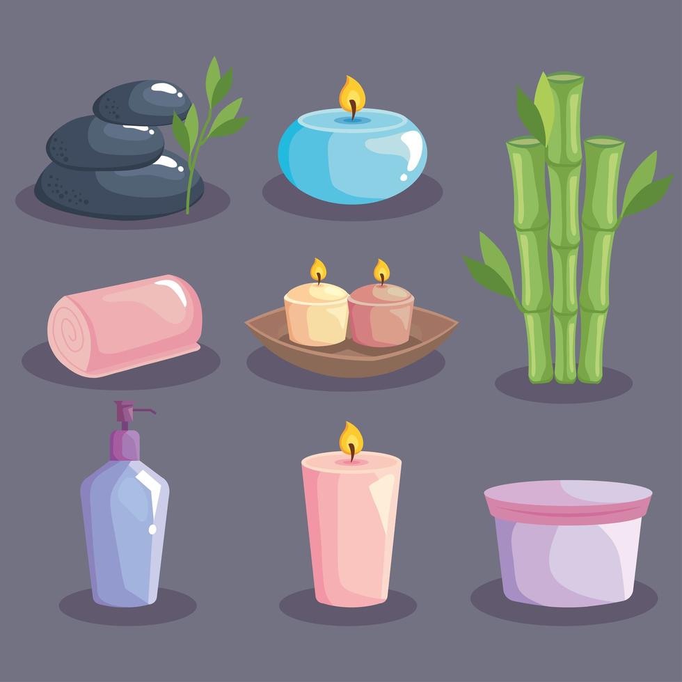 bundle spa icon vector