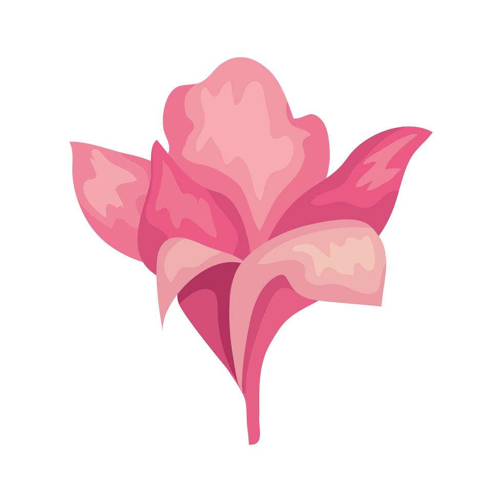 flor rosa pintada vector