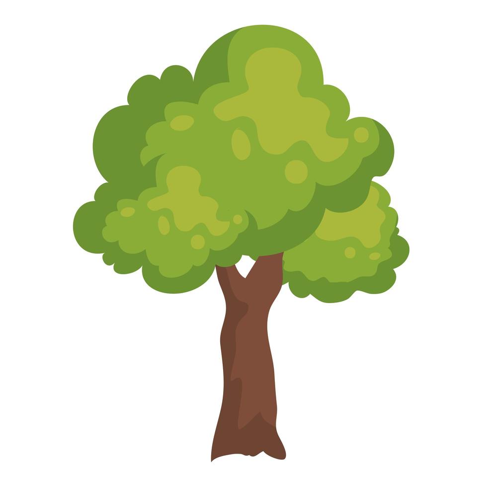 tree plant nature vector