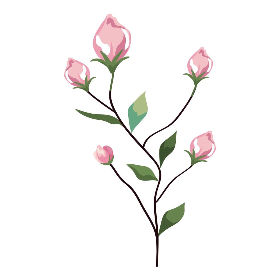 flowers branch with leaves vector