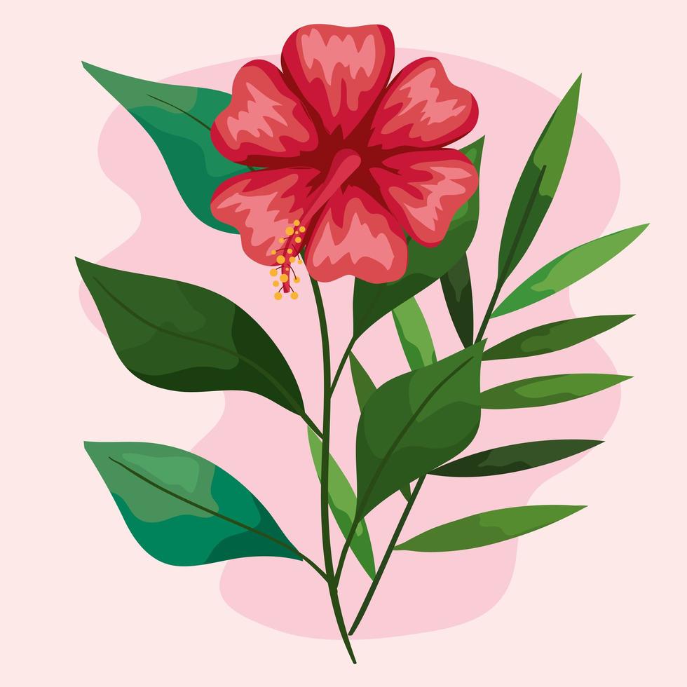 red hawaiian flower with leaves vector