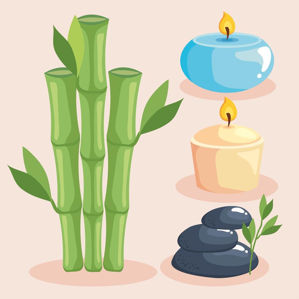 spa set icon vector