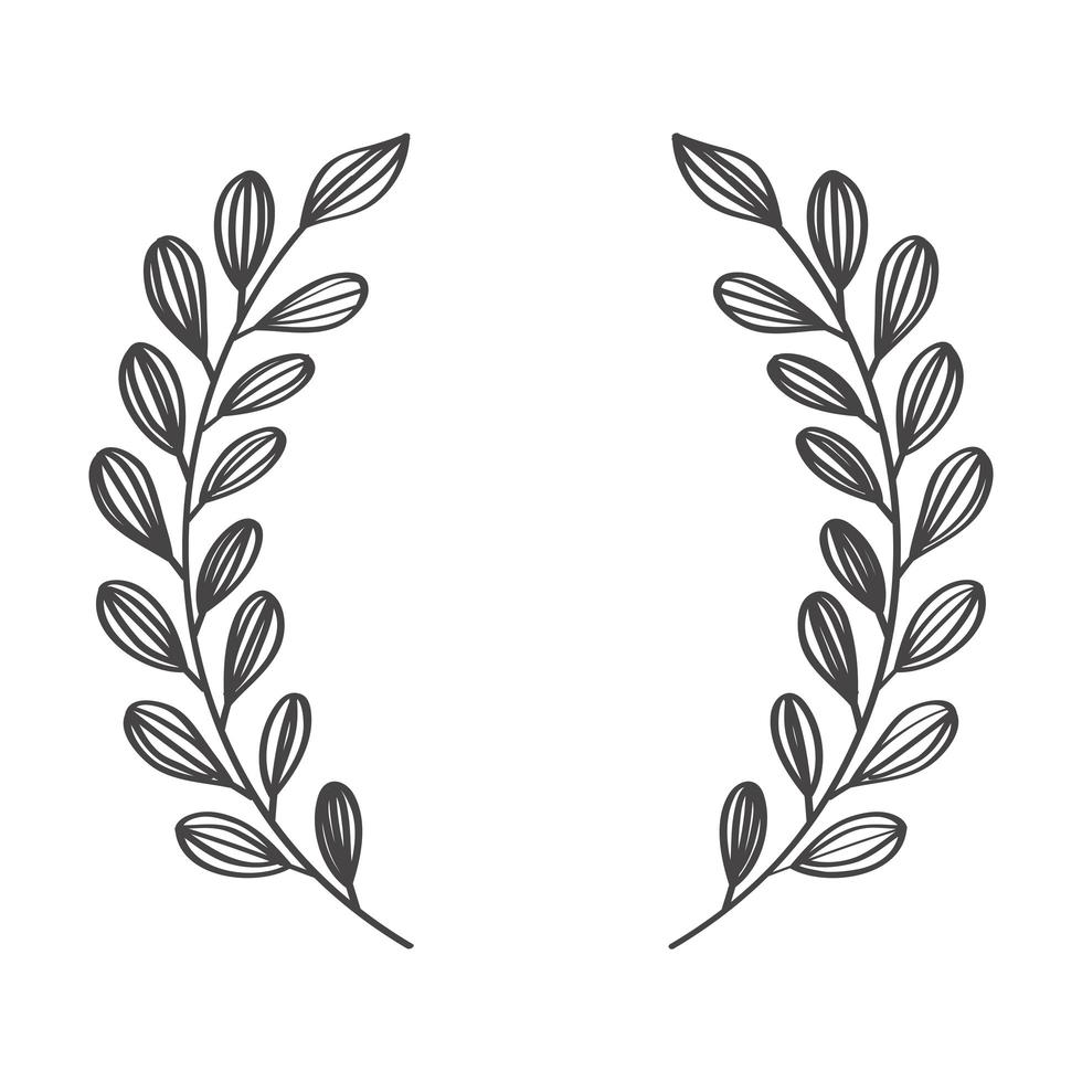 laurel branches in wreath shape vector