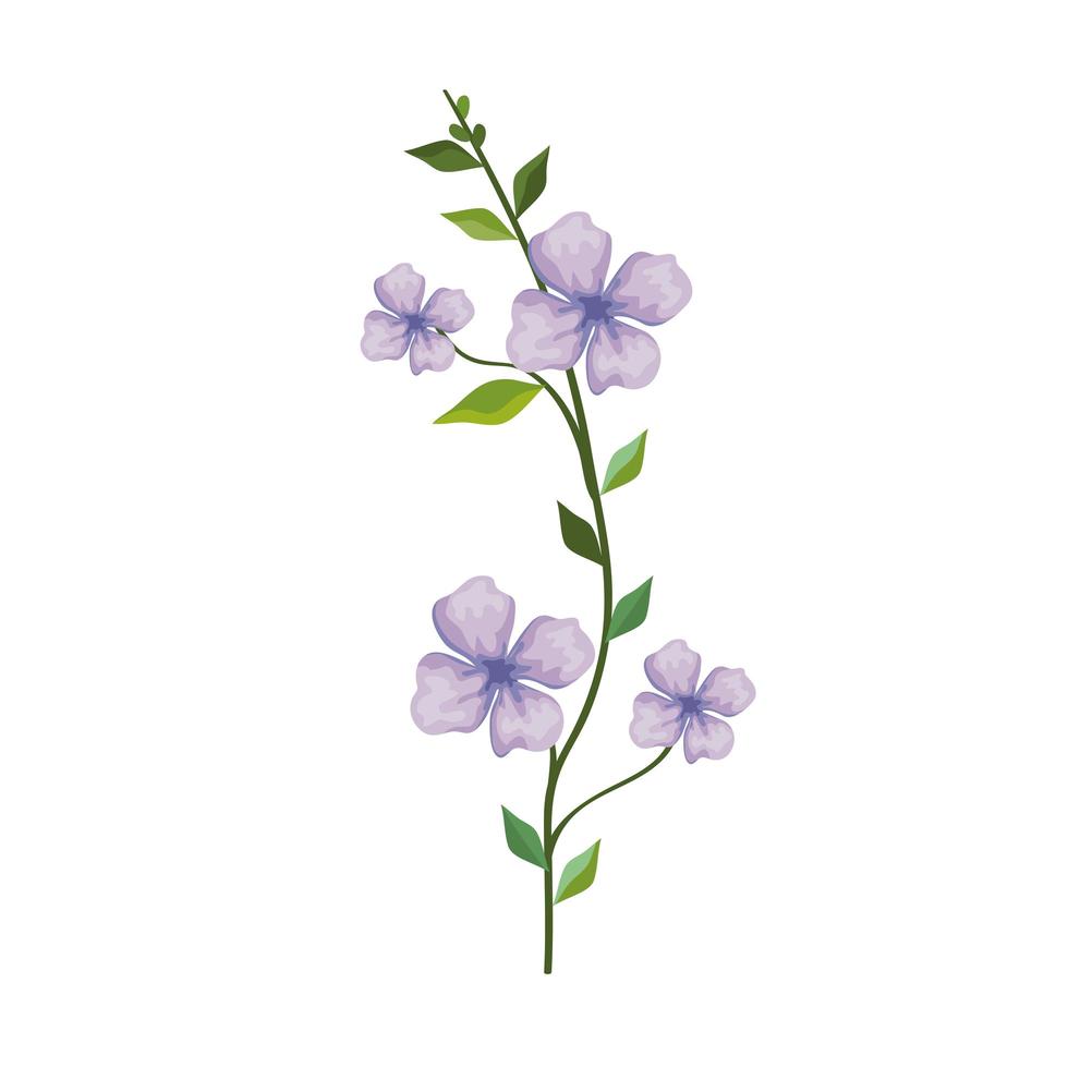 flores moradas con hojas 3812378 Vector en Vecteezy flores moradas con hojas 3812378 Vector en Vecteezy