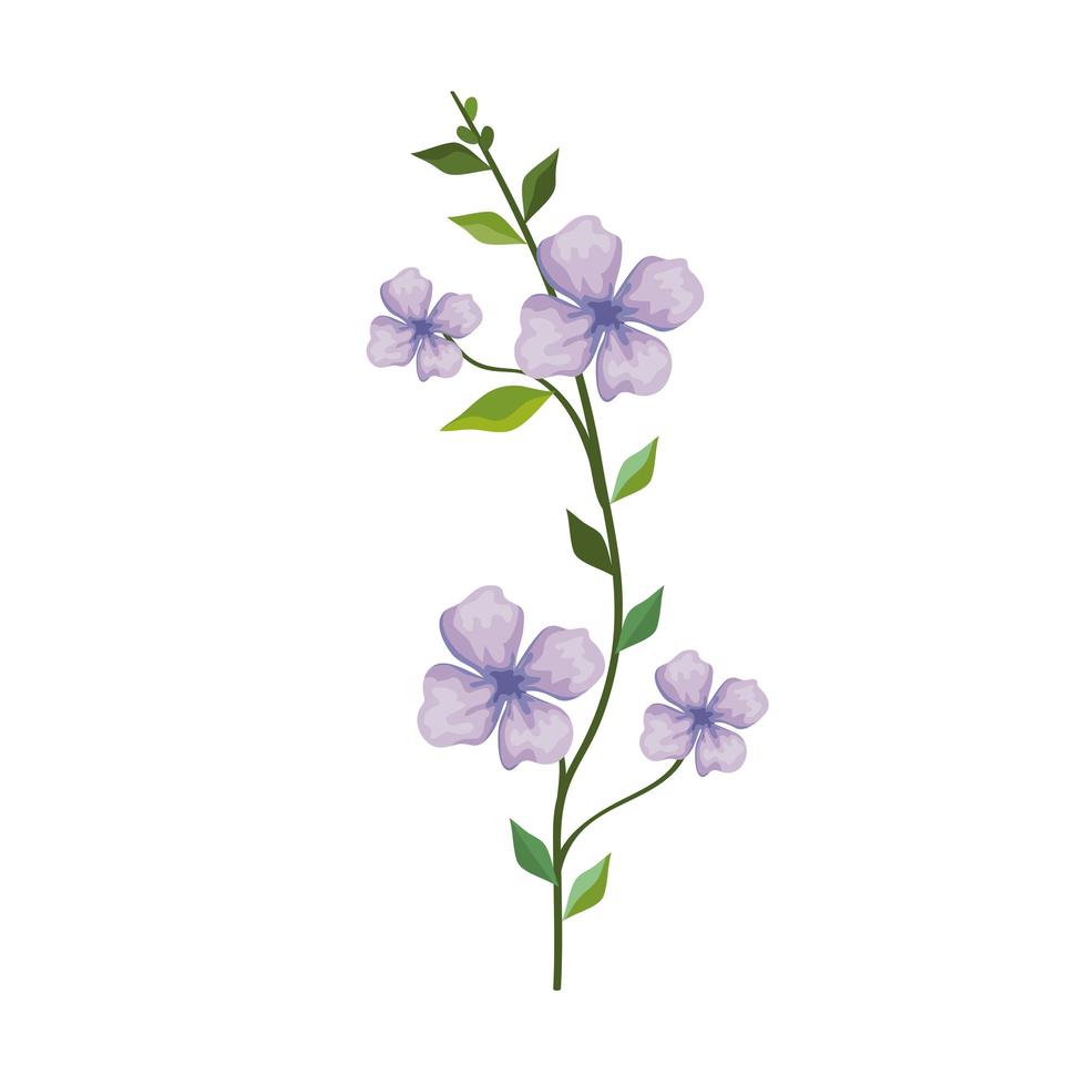 purple flowers with leaves vector