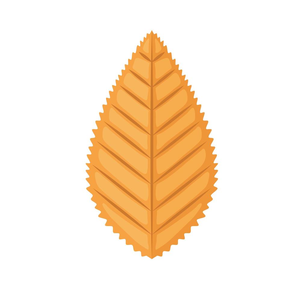 autumn leaf icon vector