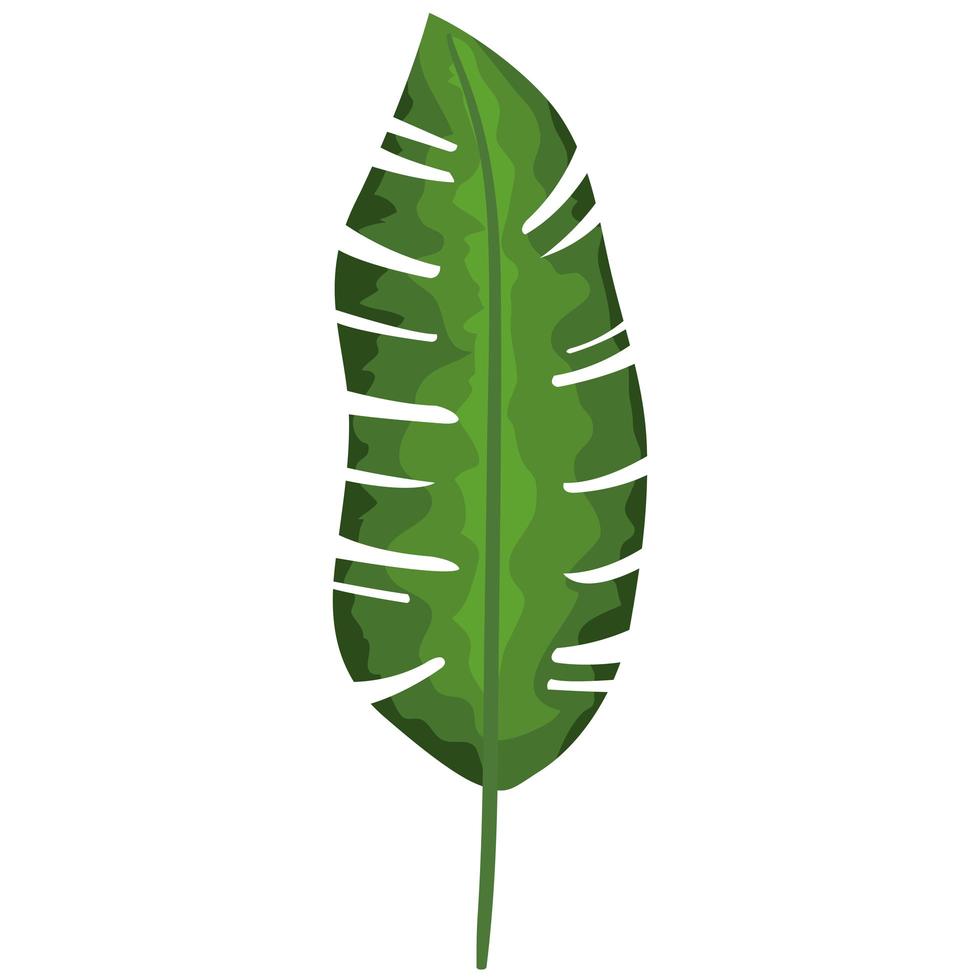 tropical leaf icon vector