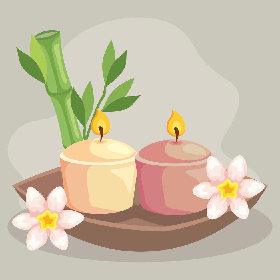 candles with bamboo of spa vector