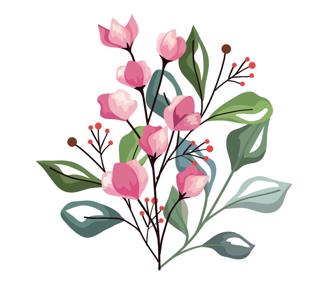 pink flowers and berries with leaves vector