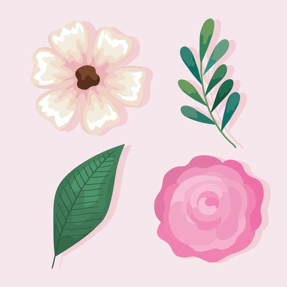 pink flowers with leaves set vector