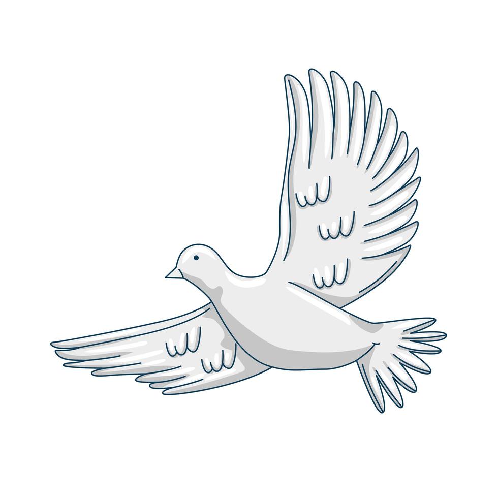 dove animal flying vector