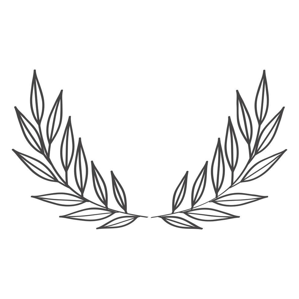 branches of laurel line style vector