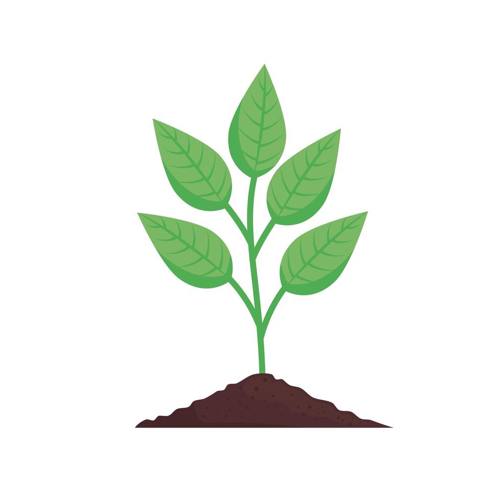 icono de planta naturaleza vector