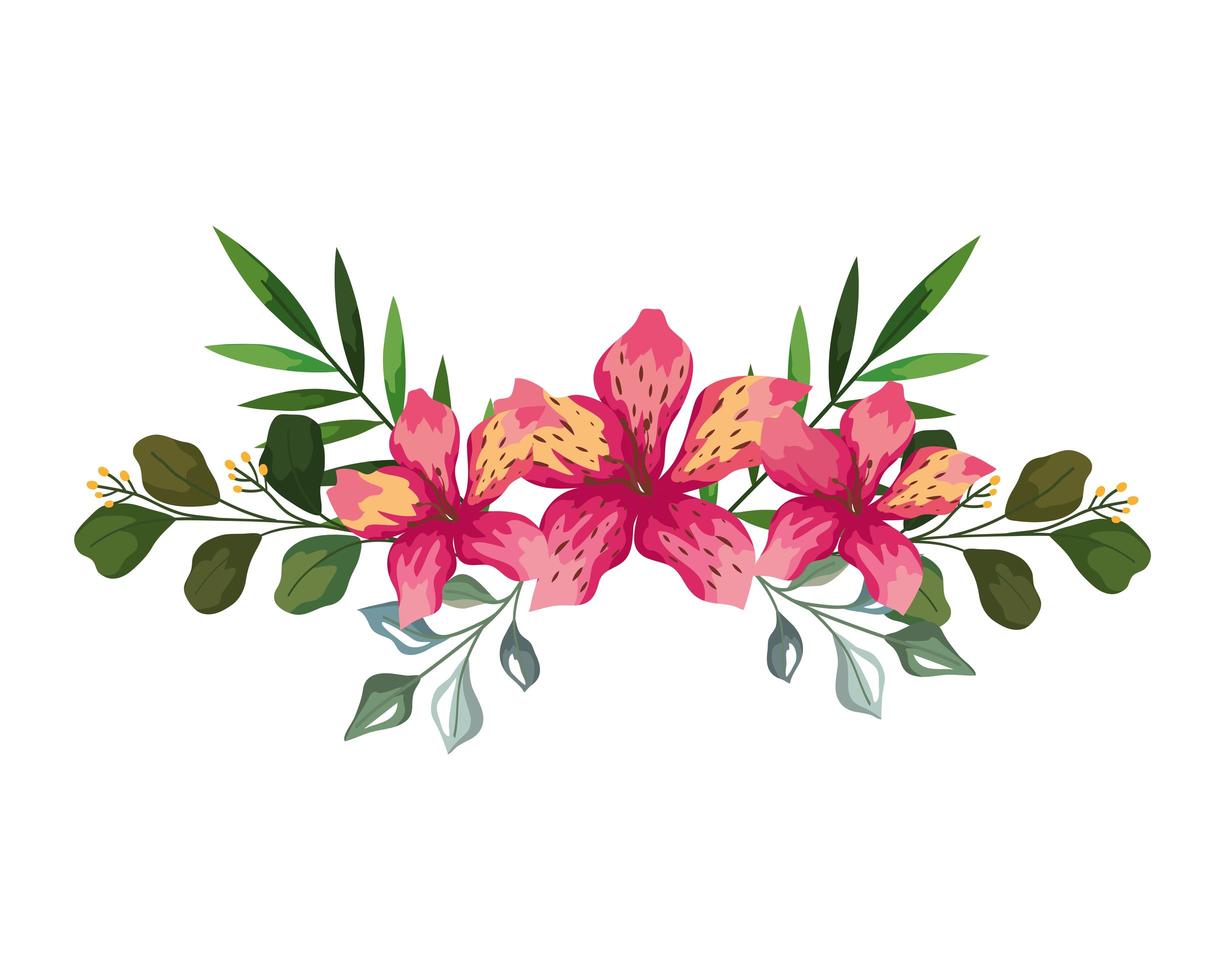 hawaiian flowers with leaves vector