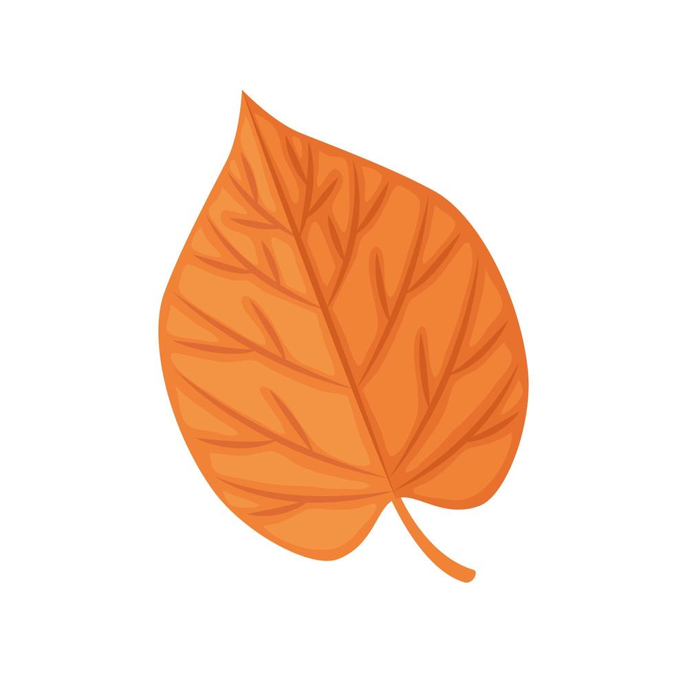 hoja de otoño aislada vector