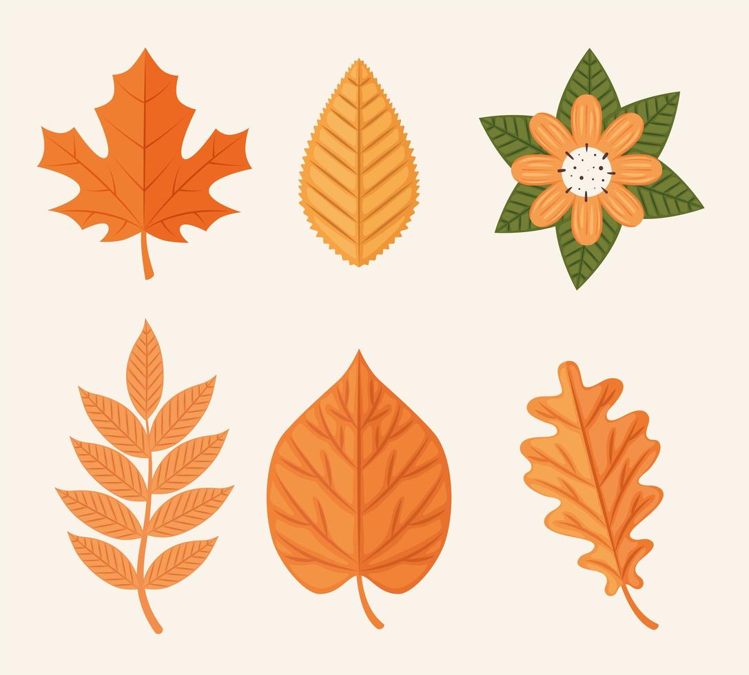 hojas de otoño y flor vector