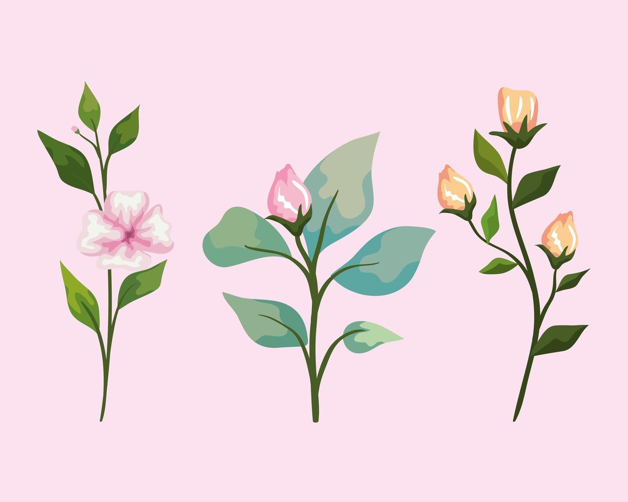 flowers with leaves symbol set vector