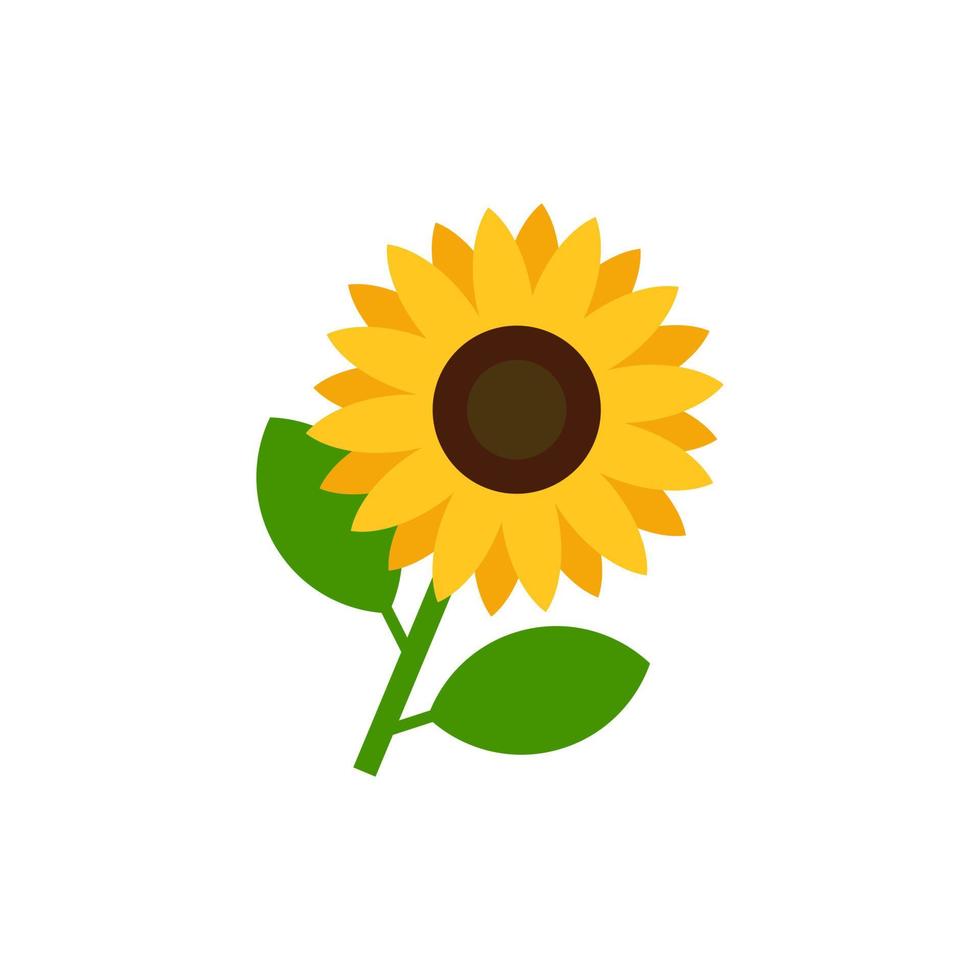 Sunflower vector illustration isolated on white background