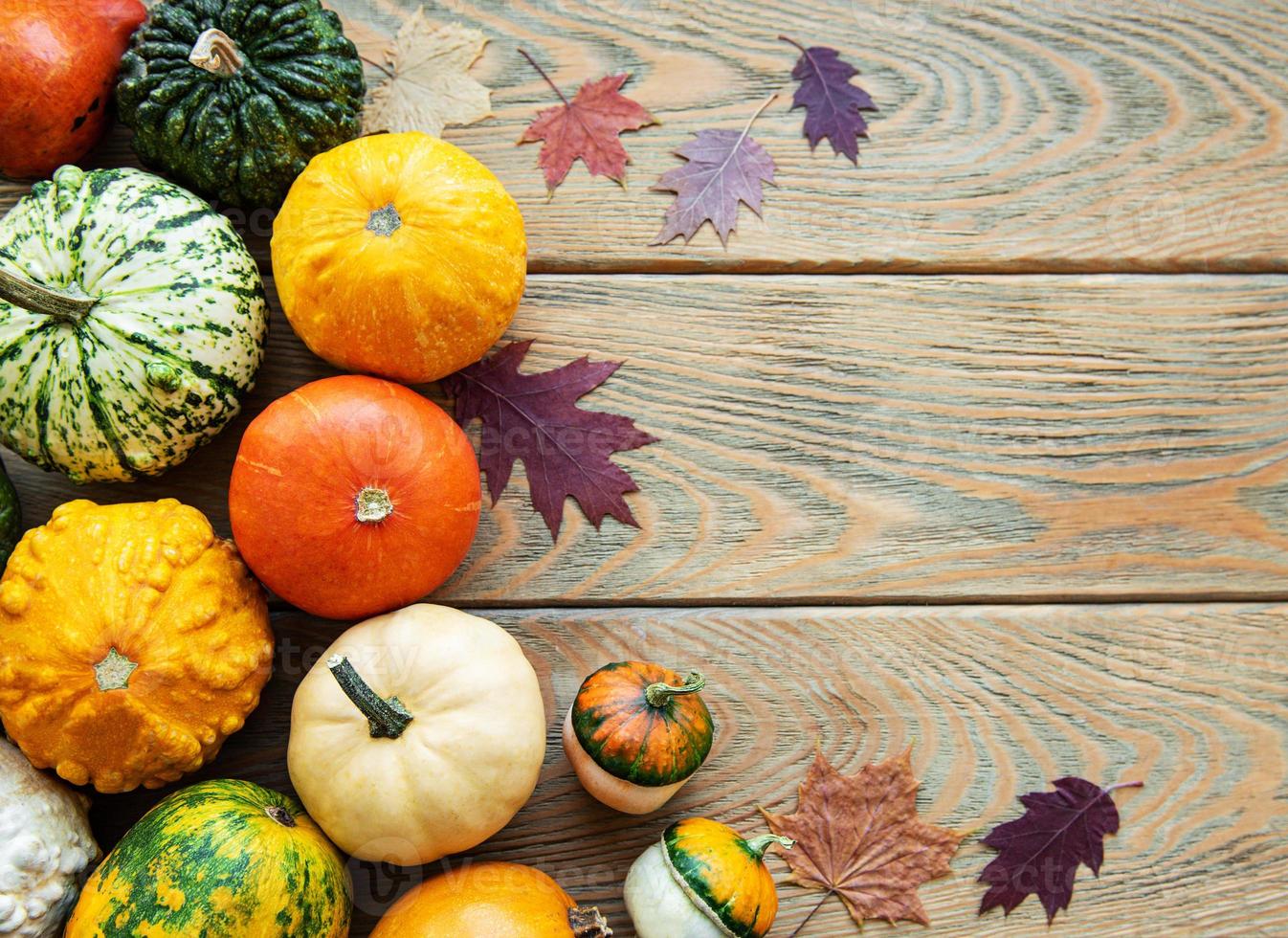 Pumpkins on a wooden table photo