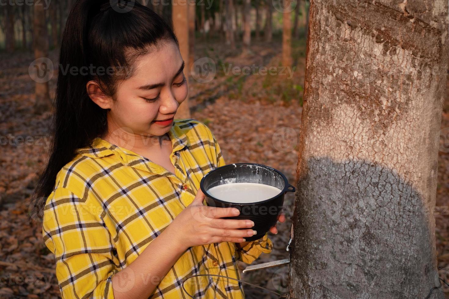 Portrait gardener young asea woman look at a full cup of raw para rubber milk of tree in plantation rubber tapping form Thailand, good farm produce photo