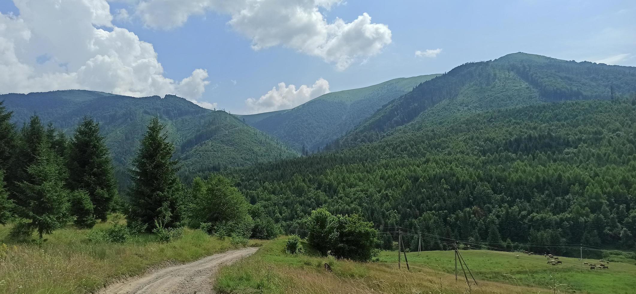 paisaje de montaña. sendero a través de las montañas. foto