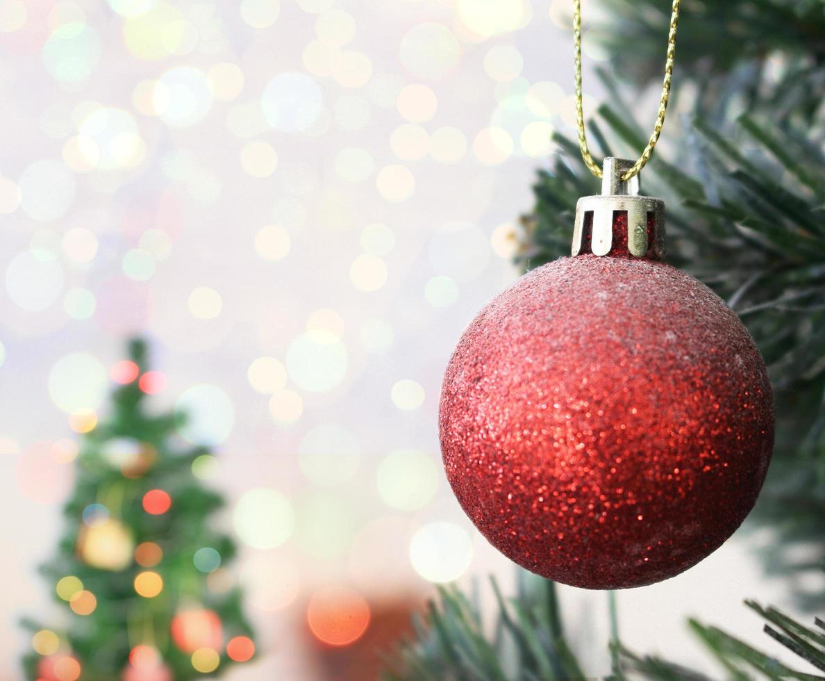 Red Christmas ball hanging on Christmas tree with bokeh photo
