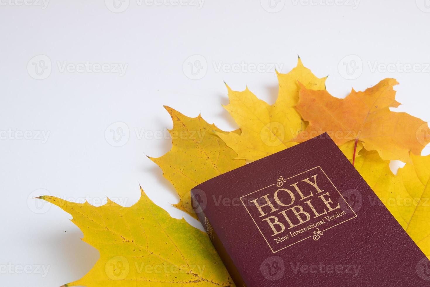 Holy bible with autumn leaf on white background 3815057 Stock Photo at