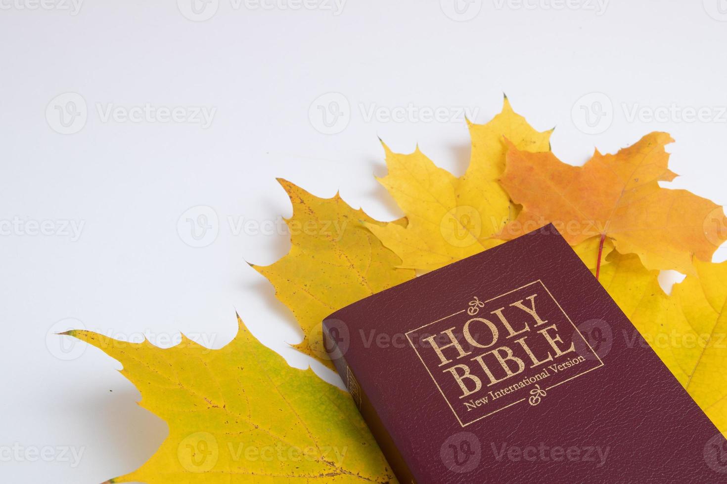 Holy bible with autumn leaf on white background photo