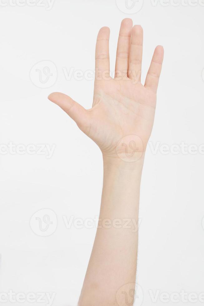 hand isolated on white.Voting hand. Mock up. Copy space. Template. Blank. photo