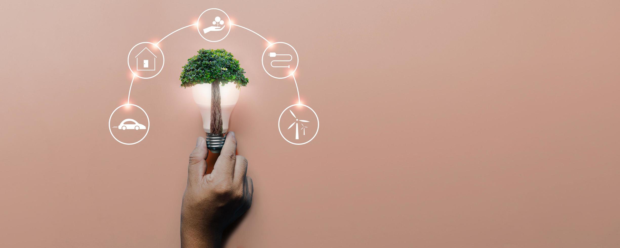 mano que sostiene la bombilla con gran árbol sobre fondo rosa con iconos de fuentes de energía para energías renovables, células solares, desarrollo sostenible. concepto de ecología y medio ambiente. foto