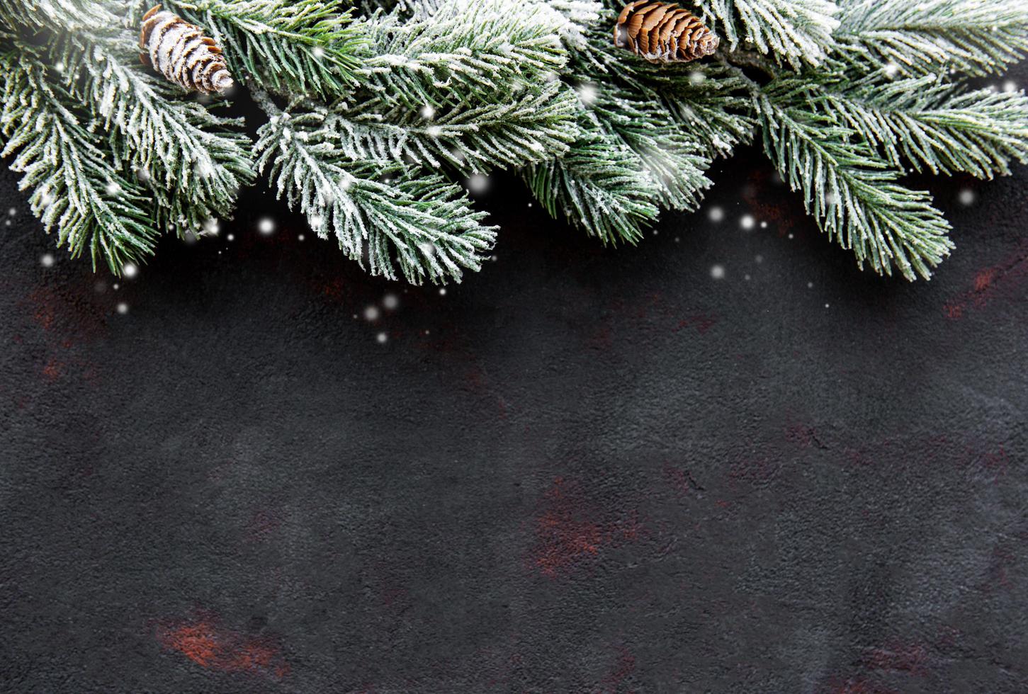 Christmas holiday background photo