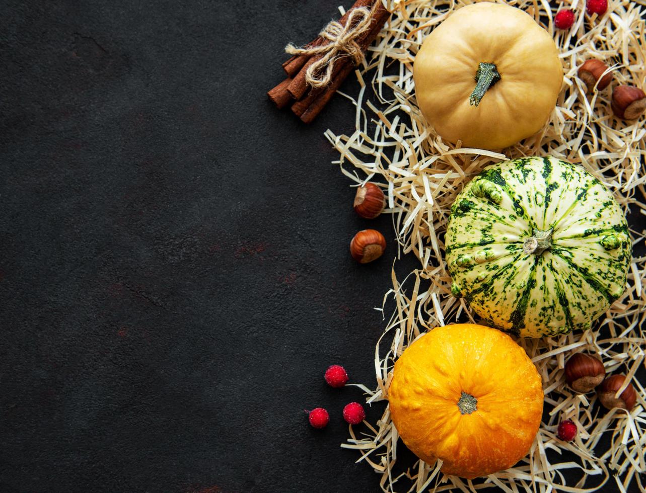 calabazas sobre un fondo negro foto