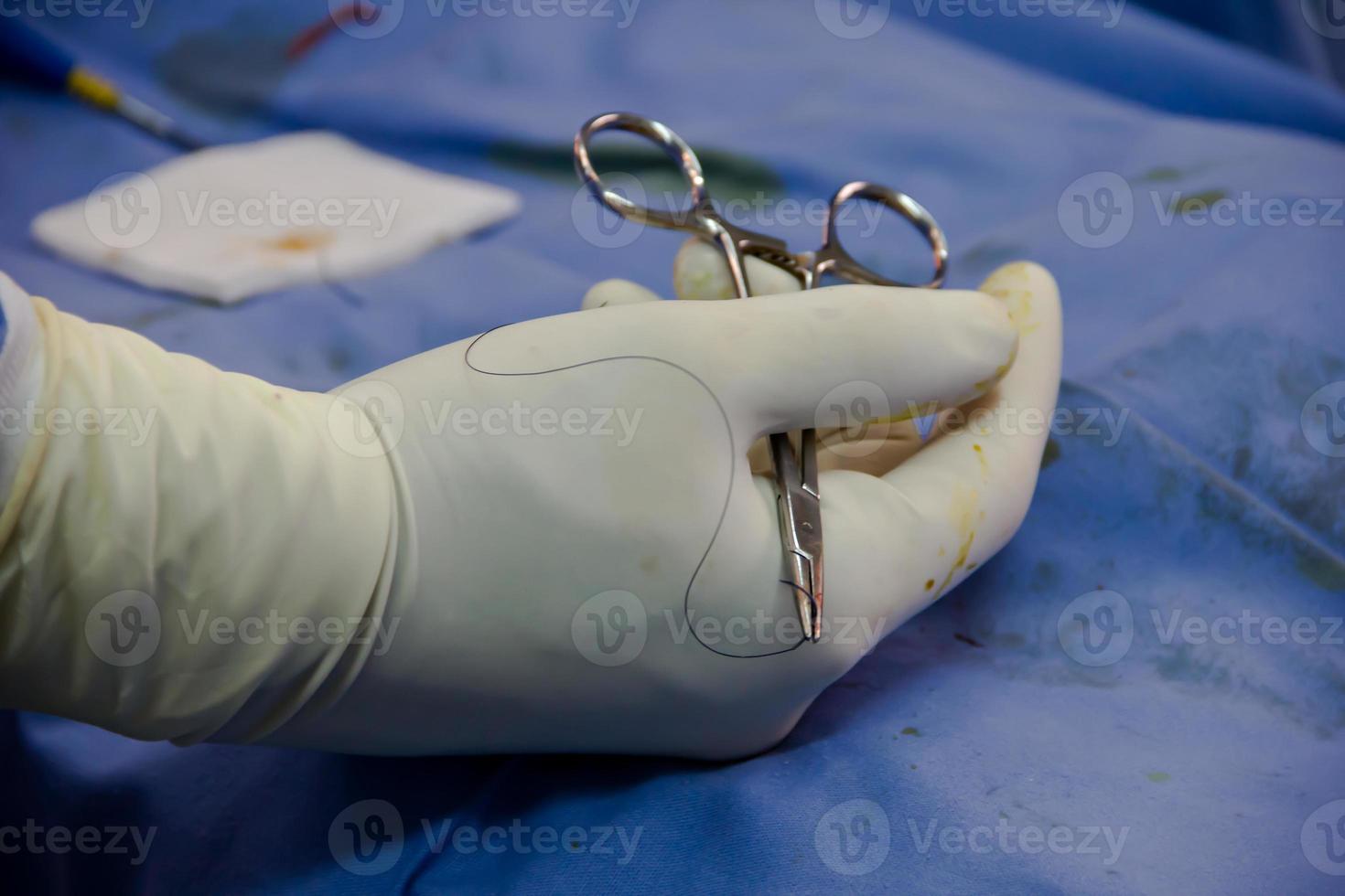 Close-up of doctor's hand holding scissors with needle and thread to operate. photo