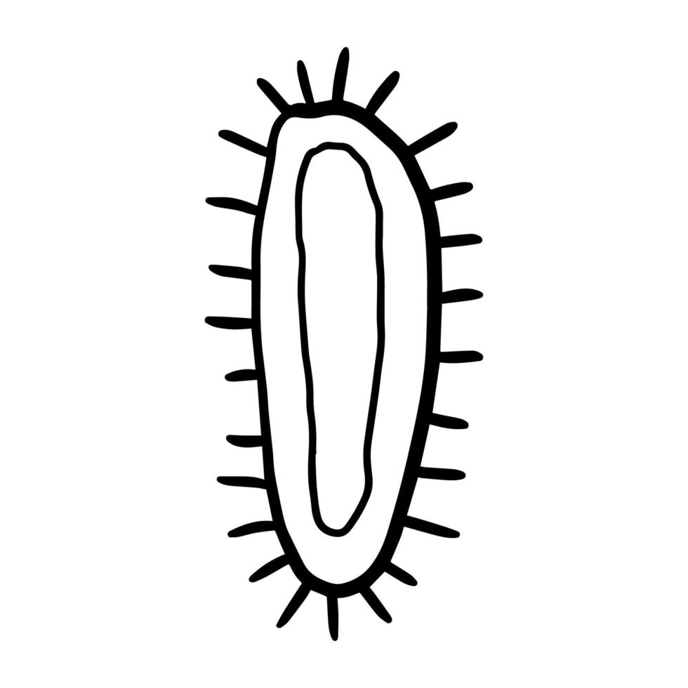 lindo doodle bacteria, bacilo, virus aislado sobre fondo blanco. elemento de dibujos animados de celda. vector