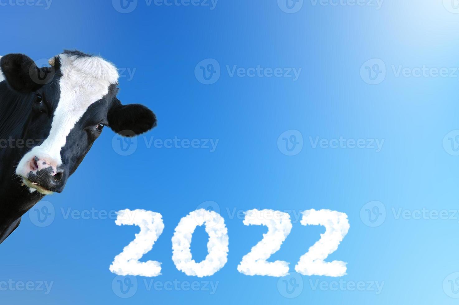 feliz navidad y próspero año nuevo con vaca, granja. foto