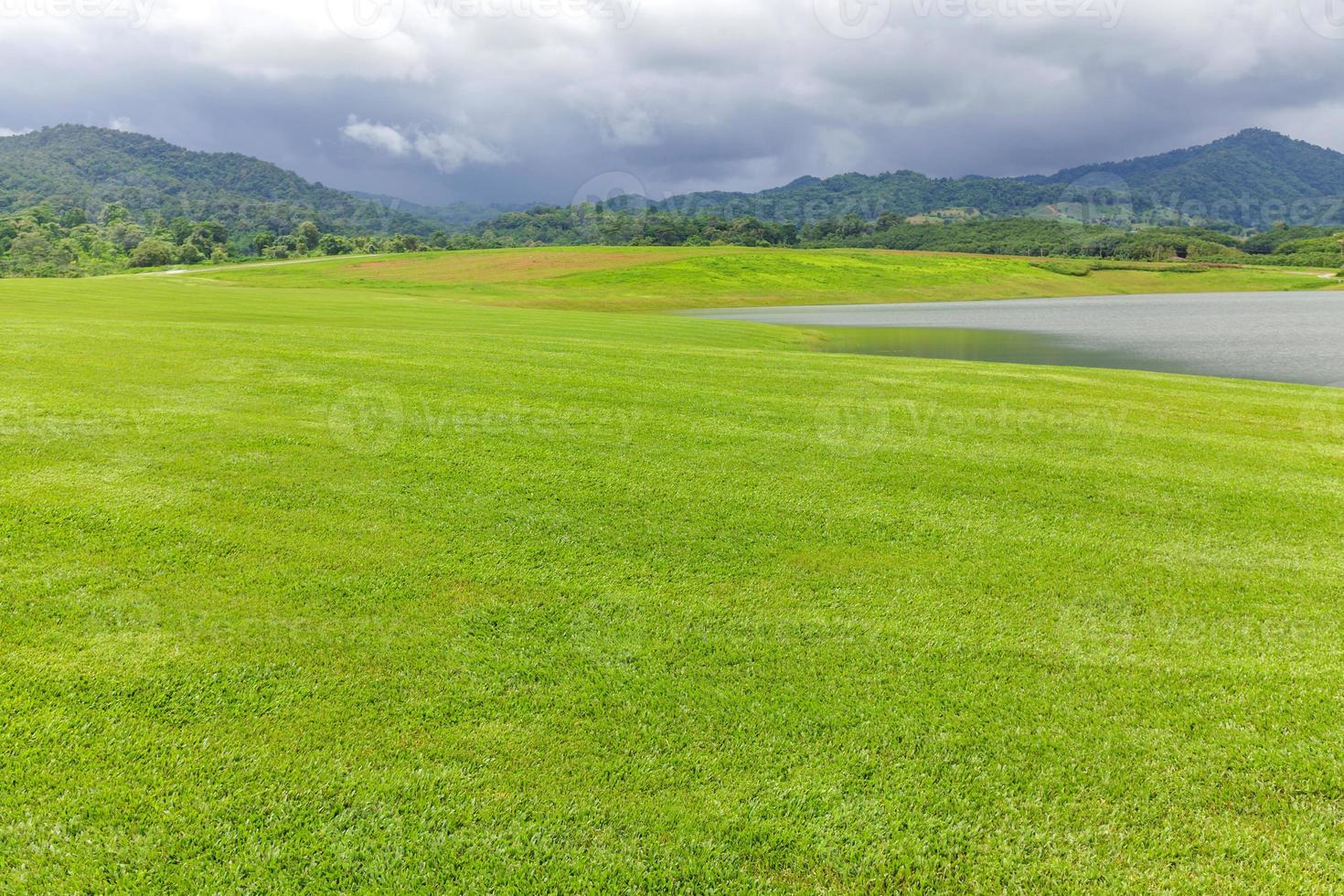 Landscape of Green lawn in a beautiful garden photo