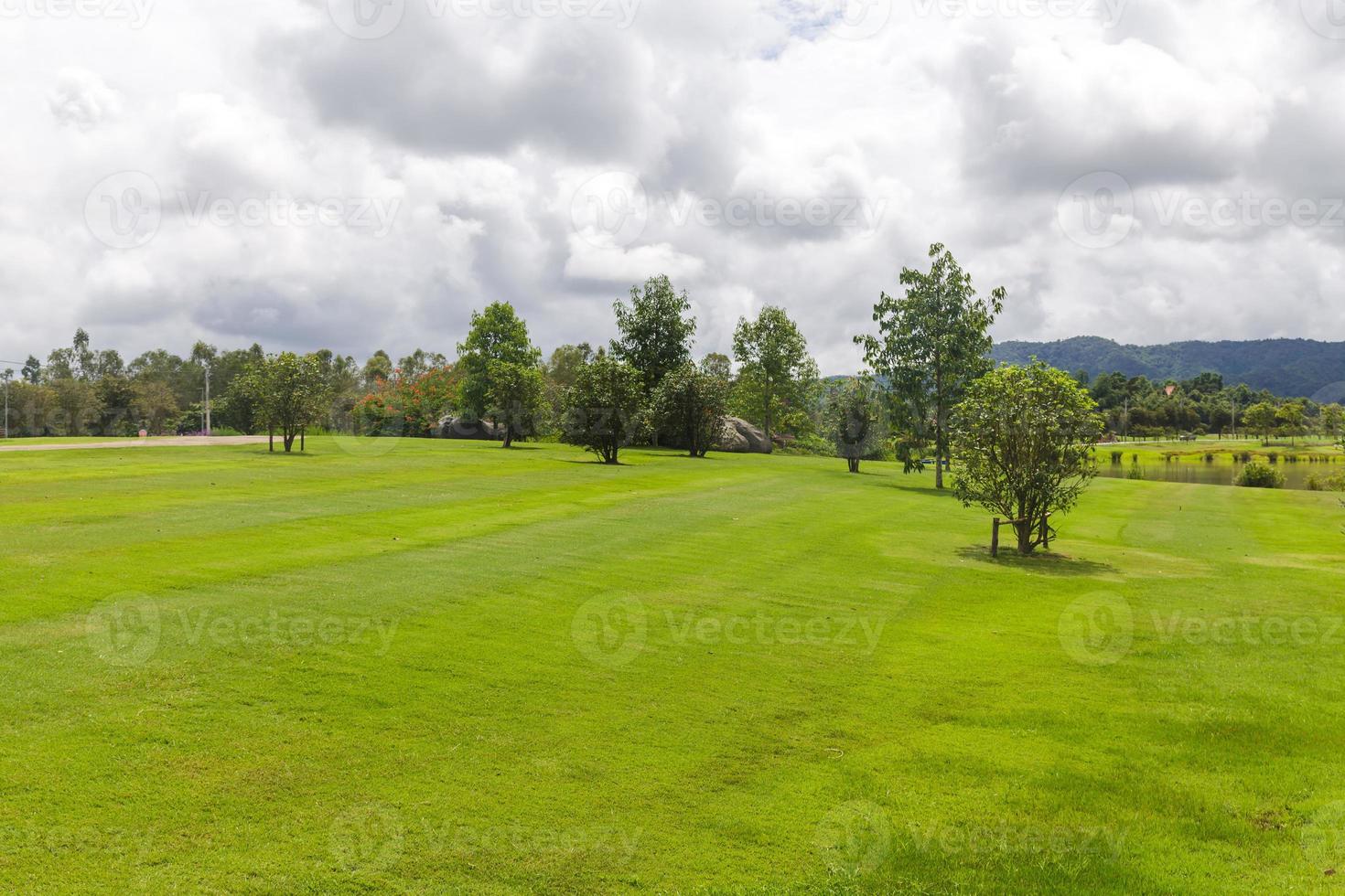 Landscape of Green lawn in a beautiful garden photo