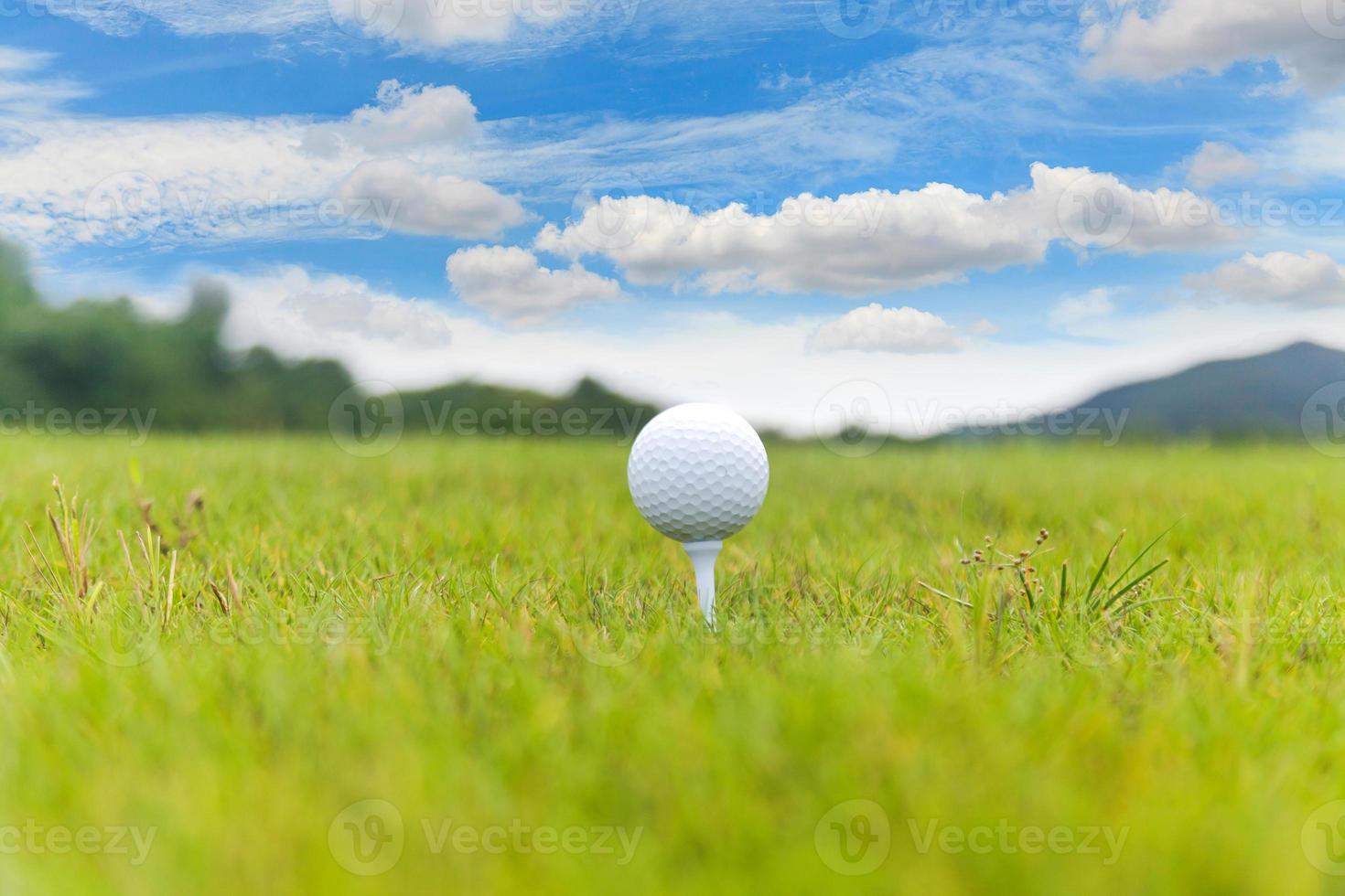 Cerca de una pelota de golf en el tee en el campo de golf foto