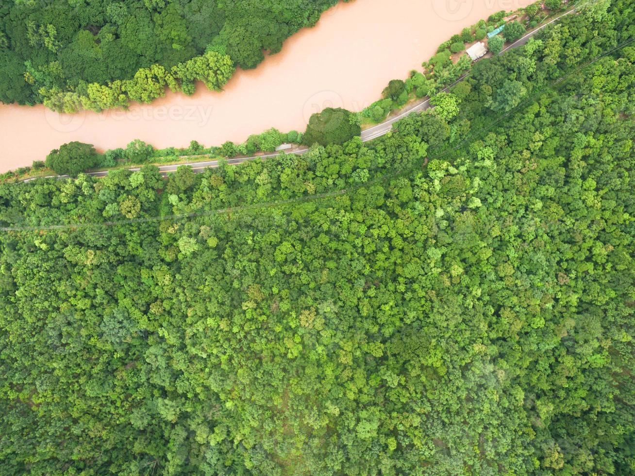 Vista aérea del hermoso bosque tropical, tomada desde drone foto