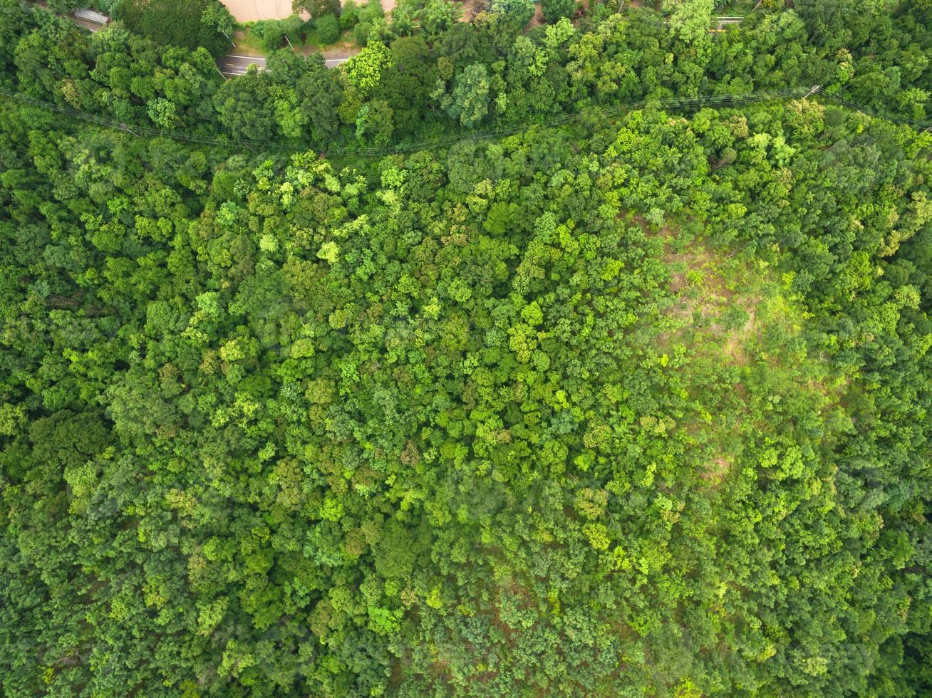 Aerial view of Beautiful tropical forest, Shot from drone photo