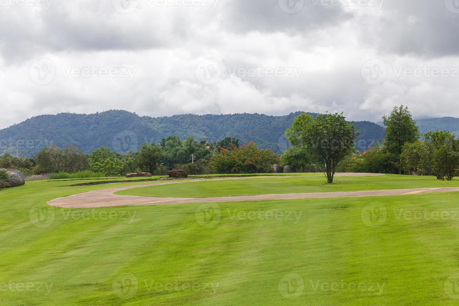 paisaje de césped verde en un hermoso jardín foto