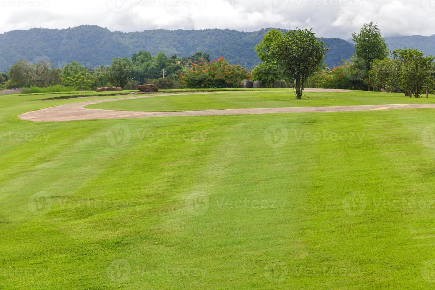 Landscape of Green lawn in a beautiful garden photo