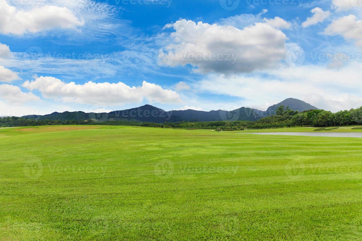 paisaje de césped verde en un hermoso jardín foto