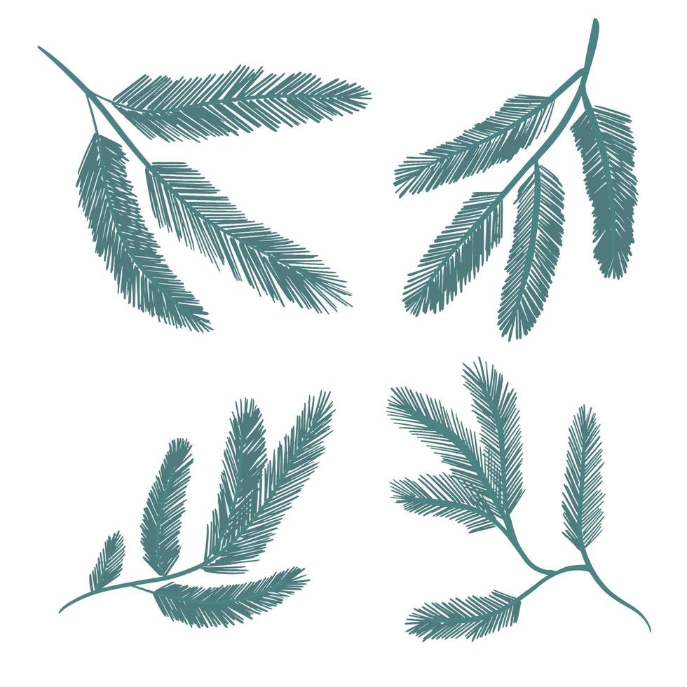 conjunto de ramas de abeto. simple dibujado a mano pino botánico minimalista navidad, año nuevo, vacaciones de invierno elemento de diseño floral aislado vector