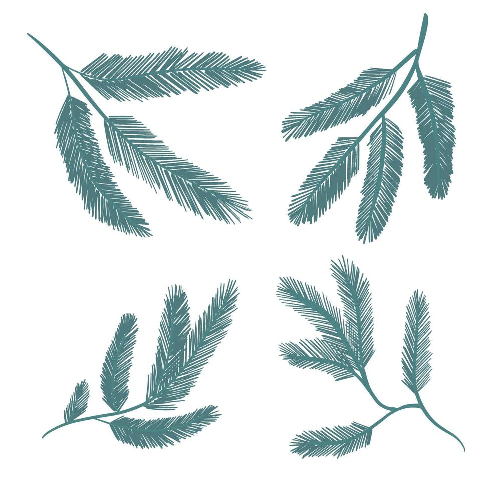 Set of fir tree branches. Simple hand drawn pine botanical minimalist Christmas, New Year, winter holidays isolated floral design element vector