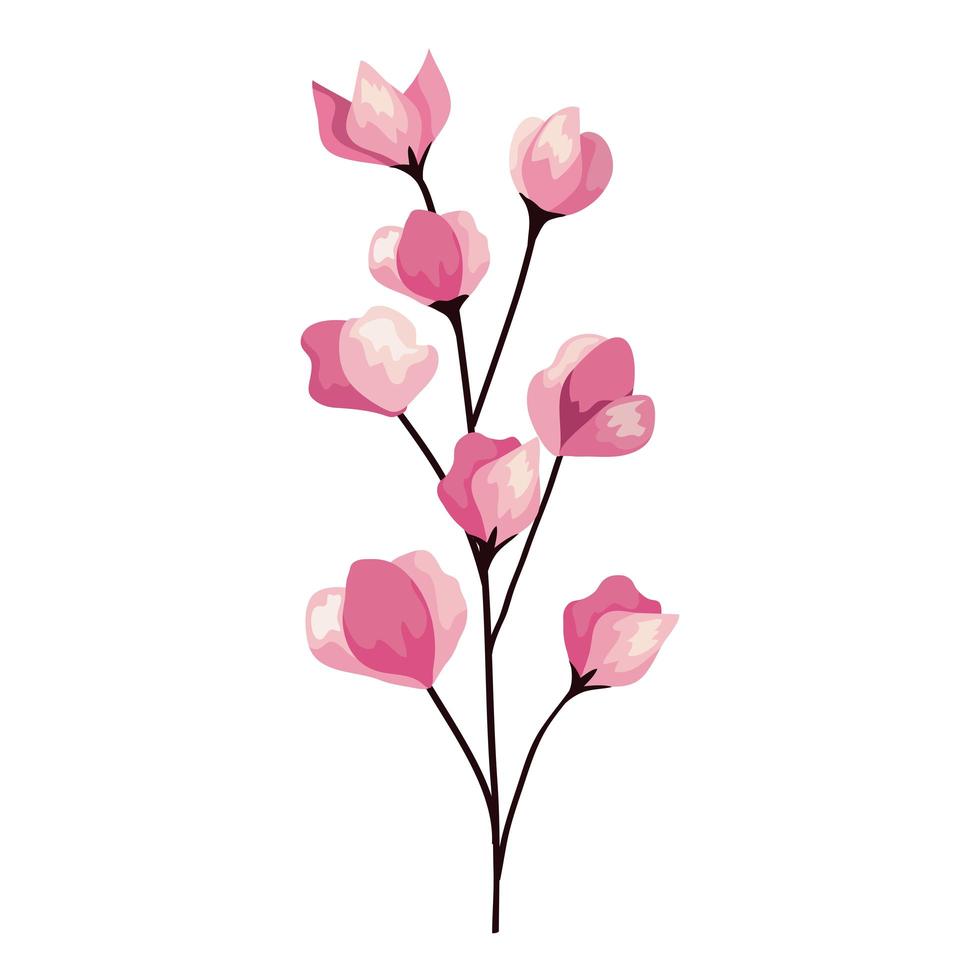 pink flowers branch vector