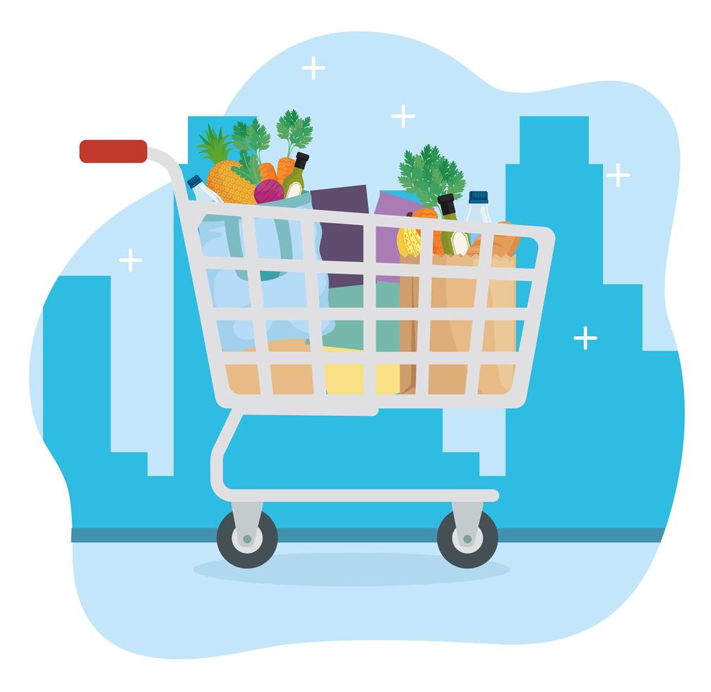 Groceries inside shopping cart vector