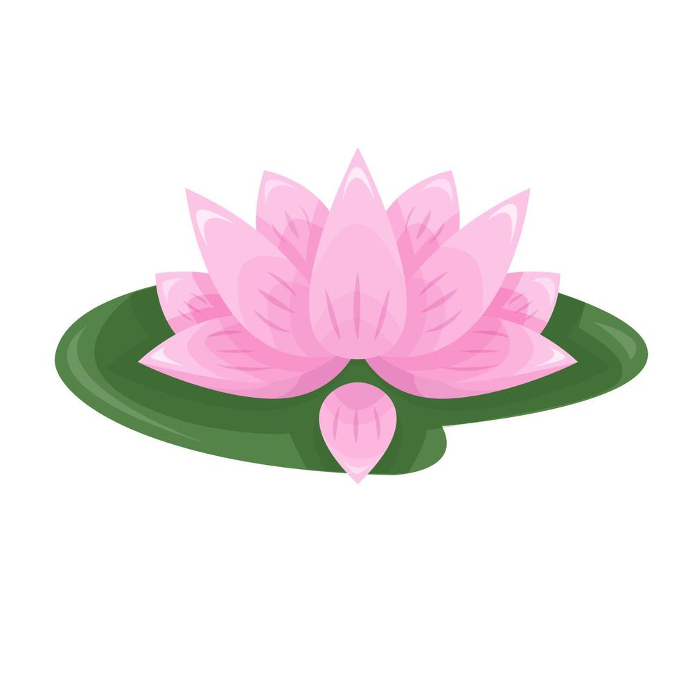 Cartoon pink lotus on a green leaf. Isolated flower on white background. Illustration in flat style. vector