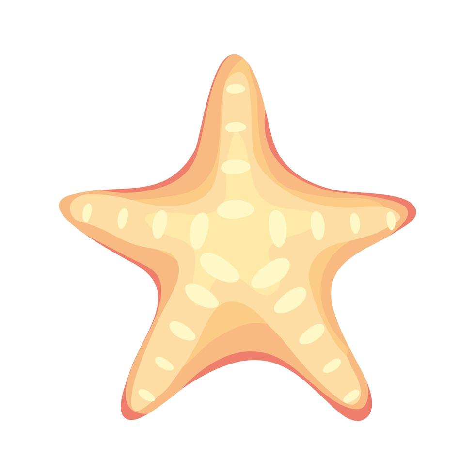 Sea star icon vector