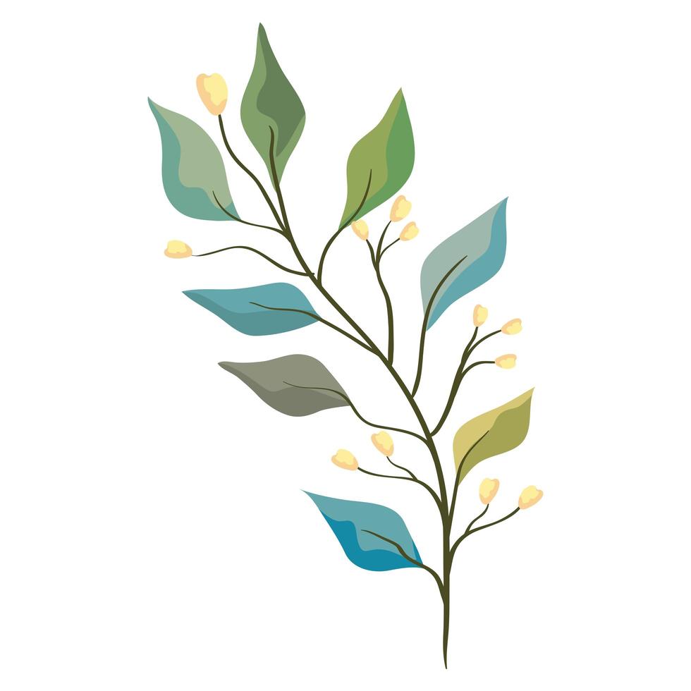 Isolated plant leaves vector